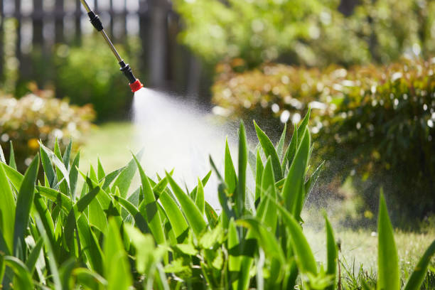 Tamper-Resistant Bait Stations for Rodents in Heavener