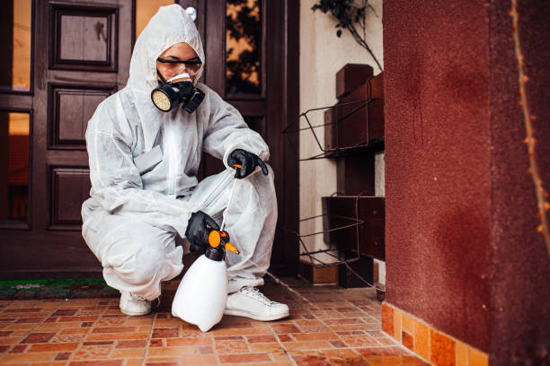 Attic and Crawl Space Rodent Treatment in Heavener