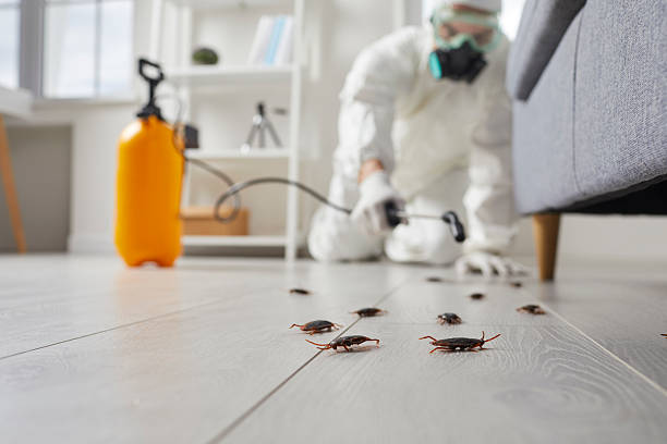 Commercial Rodent Management in Heavener